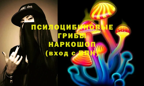 ALPHA PVP Верея