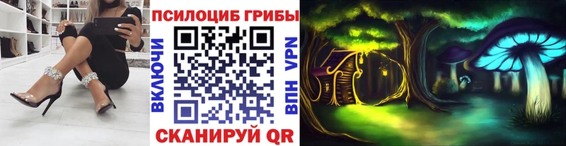 Галлюциногенные грибы Psilocybe  Купить закладки  Кашин 